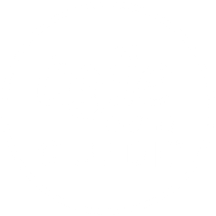 The Agile Brand Guide